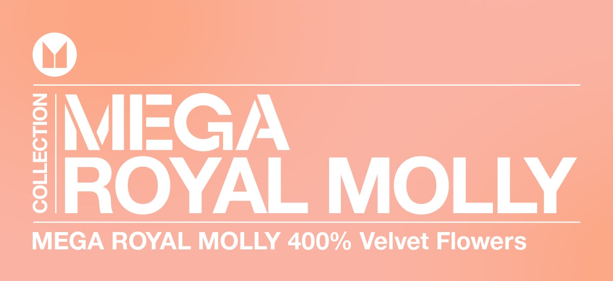 MEGA ROYAL MOLLY 400% - Velvet Flowers - POP MART Official